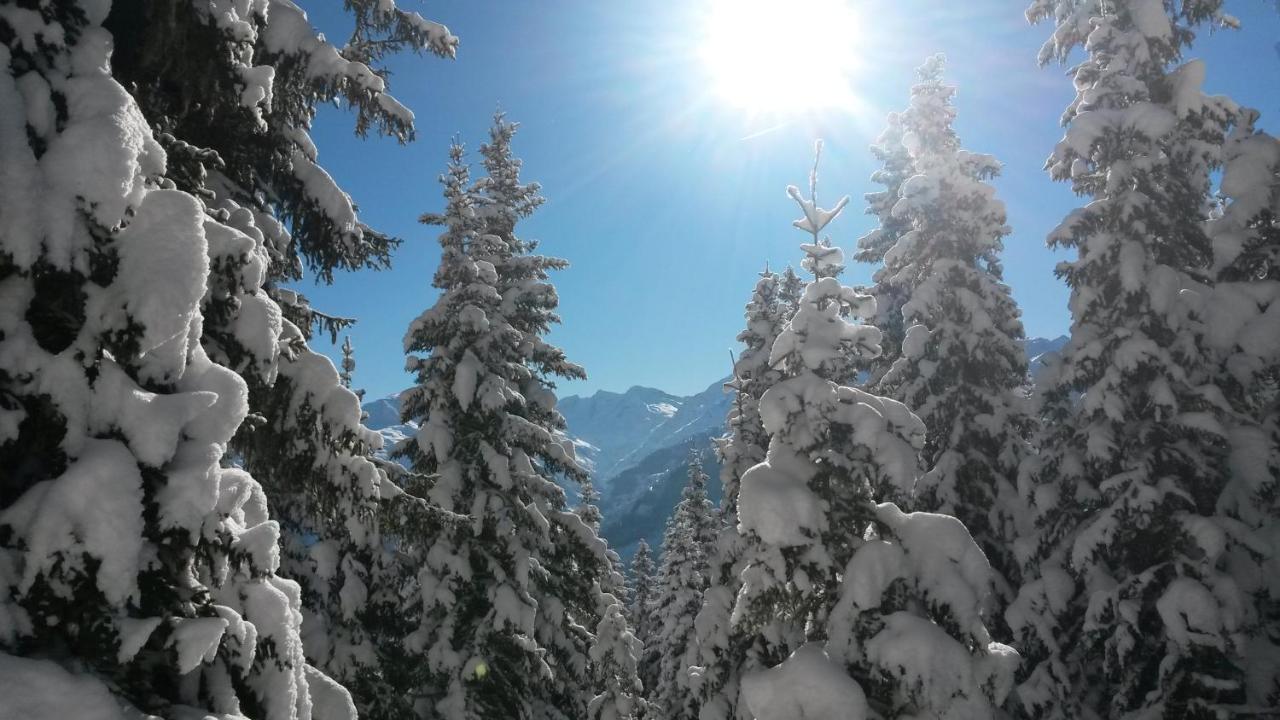 Hotel Haus Renswouw Hollersbach im Pinzgau Esterno foto