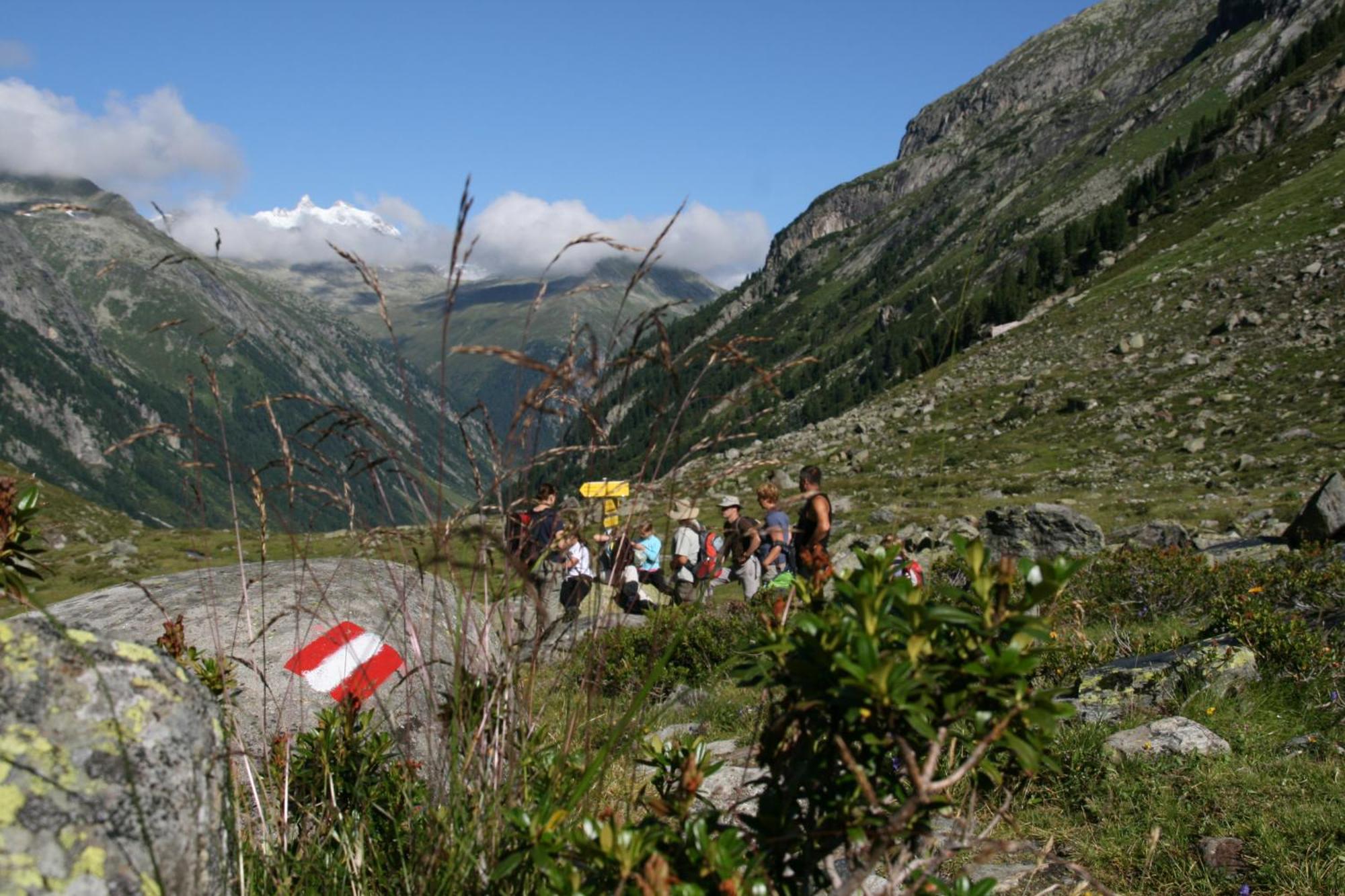 Hotel Haus Renswouw Hollersbach im Pinzgau Esterno foto