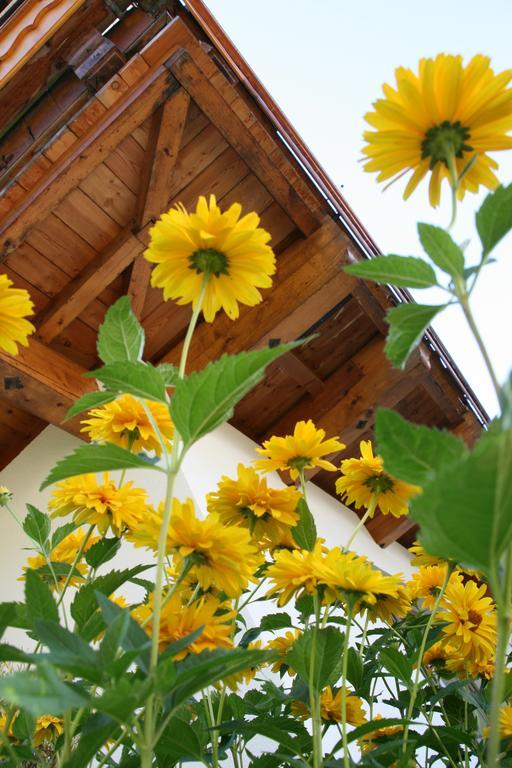 Hotel Haus Renswouw Hollersbach im Pinzgau Esterno foto